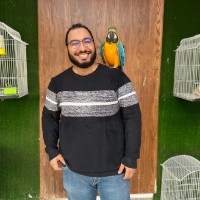 INVENTO | انفنتو Employee Ahmed Yasser's profile photo