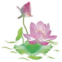 VnnPlus Employee Hoa Dau's profile photo