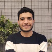 Mohamed Abosreea Email