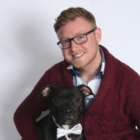 DKO Entertainment Employee Derek Kramer's profile photo