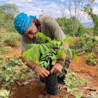 Fundación Barichara Regenerativa Employee Joe Brewer's profile photo