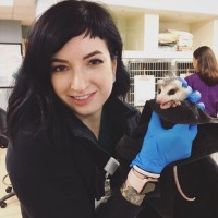Advanced Veterinary Care Center Employee Brittney McKinley's profile photo
