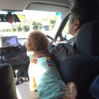 Canberra Industries Employee Tetsuo Shibata's profile photo