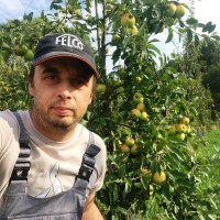 Inoverde Employee Landry Benoit-Lizon's profile photo