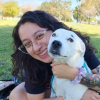 PADT, Inc Employee Cynthia de la Rosa's profile photo