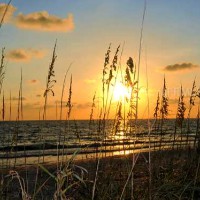 Harris Corporation Employee Peter Challan's profile photo