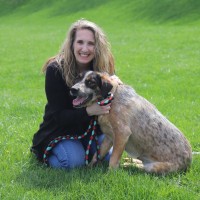 Anderson Animal Shelter Employee Lynne Smith's profile photo