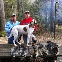 Blackhawk Mining, LLC Employee Jerry Brown's profile photo