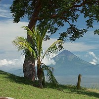 Enel Employee Fanny Roque's profile photo