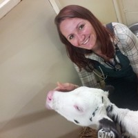 Poolesville Veterinary Clinic Employee Ashley Young's profile photo