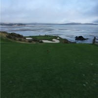 PQBids Employee Ronald Staley's profile photo