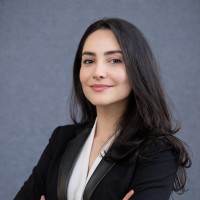 Fargol Araghi Email