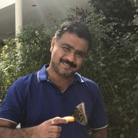 Mukesh K Email & Phone Number
