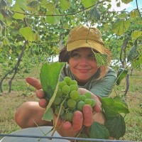 Soaring Wings Vineyard & Brewing Employee Courtney Watkins's profile photo