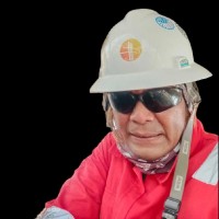 PT Radiant Utama Interinsco Tbk Employee Sis Wanto's profile photo