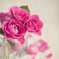 L'azurde Employee Taghreed Qablawi's profile photo