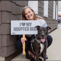 Viewpoint School Employee Jill Shaw's profile photo