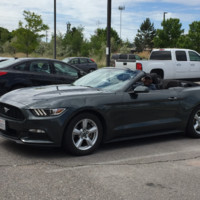 Genesis Employee Berty Flore's profile photo