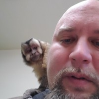 SNA Software LLC Employee John Pisano's profile photo