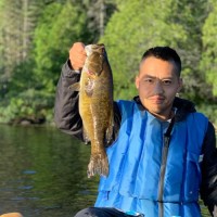 Custom Remodelers, Inc Employee Kong Thao's profile photo