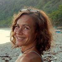 Steffani Fields Email & Phone Number