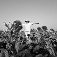 Scarecrow Communications Ltd. Employee Manish Bhatt's profile photo