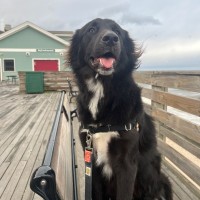 Brightspeed Employee Ellen Oliver's profile photo