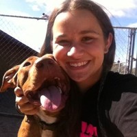 ANIMAL FARM FOUNDATION INC Employee Ellen Finley's profile photo