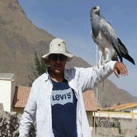 CEMIN Holding Minero Employee Carlos Alvarez Bastias's profile photo