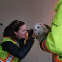 Tundra Technical Solutions Employee Melanie Bateman's profile photo