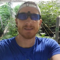 James Wingrove Email