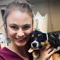 Dr. Elsey's Employee Tammy Antonucci's profile photo