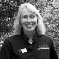 Martha Regester Email & Phone Number