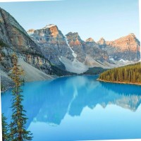 AGAT Laboratories Employee Aisha Naz's profile photo