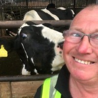 Müller UK & Ireland Group Employee Mike Longson's profile photo
