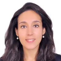 Mouhja Safsafy Email