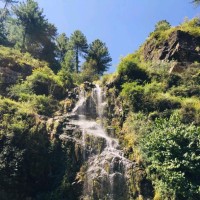 SalTec Smart Power (Pvt) Ltd Employee Qurat-Ul-Ain Mehmood's profile photo