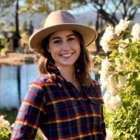 Texas House of Representatives Employee Paige Higerd's profile photo