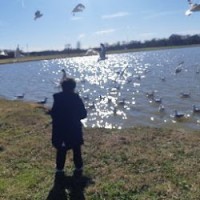 Keystone Tile Inc Employee Mehmet Iscan's profile photo
