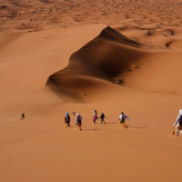 DAYDREAM Employee Daydream Tours's profile photo