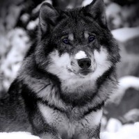 Warren White Email & Phone Number