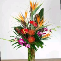 Tracey's Place Employee Tracey Walker's profile photo