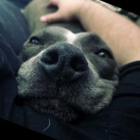 Devfuzion Employee Kaleb Radford's profile photo