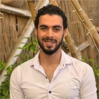 Ahmed Tantawy Email