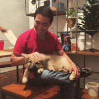 Faire Employee Thiago Watanabe's profile photo