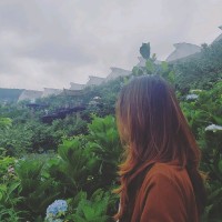 Duong Yen Email