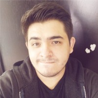 Rodrigo Ortiz Muñiz Email