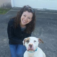 Allison Cook Email & Phone Number