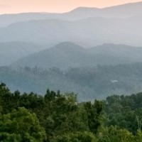 Stephanie Snyder Email