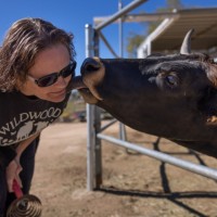 Animal Outlook Employee Belinda Davis's profile photo